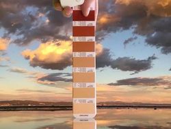Keren! Ketika Panduan Warna Pantone Disatukan dengan Alam