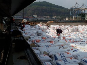 Darmin Minta Penjelasan Mendag Soal Persetujuan Impor Bawang Putih