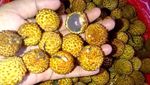 Buah Eksotis dari Pedalaman Kalimantan, Ada Durian Merah