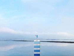 Keren! Ketika Panduan Warna Pantone Disatukan dengan Alam