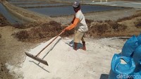 Untuk saat ini, satu petak lahan garam ukuran kecil bisa menghasilkan sekitar Rp 3 kwintal garam. Sejak awal musim tanam sampai saat ini, petani telah berkali-kali memanen garam.
