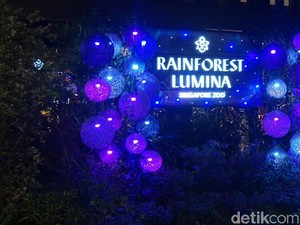 Wisata Malam Singapura, Keliling Hutan di Malam Hari!