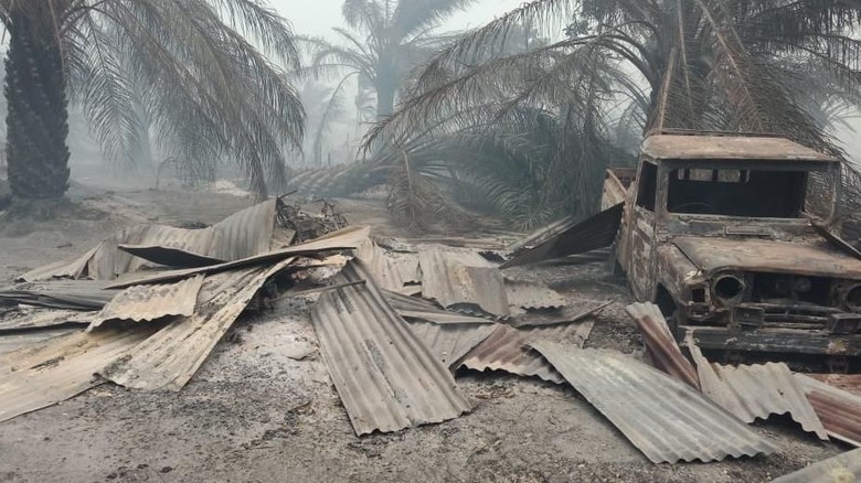 Ngerinya Kebakaran Lahan Sawit yang Hanguskan 20 Rumah Warga Ngerinya Kebakaran Lahan Sawit yang Hanguskan 20 Rumah Warga
