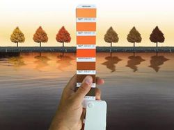 Keren! Ketika Panduan Warna Pantone Disatukan dengan Alam