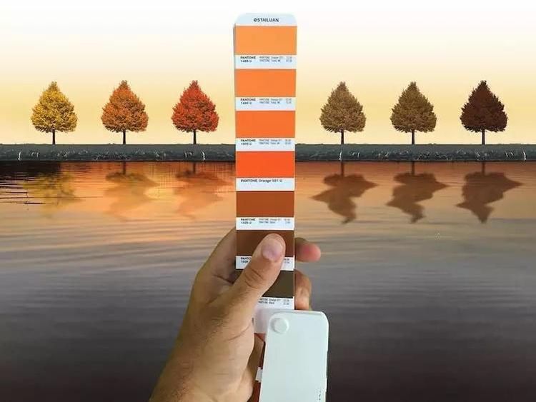 Keren! Ketika Panduan Warna Pantone Disatukan dengan Alam