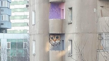 Si kucing sedang mengintip. (Foto: Brightside)