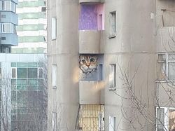 Tipuan Lukisan 3D Raksasa, Wajib Dilihat Seksama