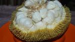 Buah Eksotis dari Pedalaman Kalimantan, Ada Durian Merah