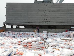 Nggak Cuma Bawang Putih dan Gula, RI Mau Impor Beras