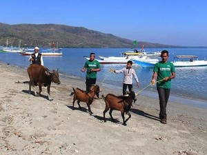 Jangan Lupa Berbagi Kurban untuk Korban Gempa di Lombok