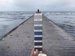 Keren! Ketika Panduan Warna Pantone Disatukan dengan Alam