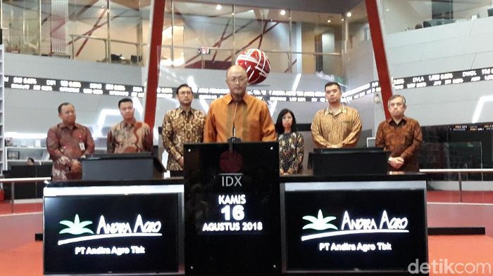 Foto: Danang Sugianto/detikFinance Foto: Danang Sugianto/detikFinance