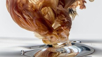 Keindahan ikan ini terutama di bagian siripnya menjadi daya tariknya. (Foto: Visarute Angkatavanich)