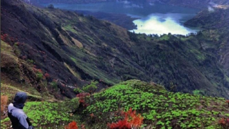 Ilustrasi Gunung Rinjani (Ganjar Facrudin/dTraveler) Ilustrasi Gunung Rinjani (Ganjar Facrudin/dTraveler)