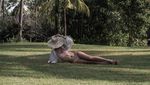 Foto: Anak Orang Tajir Singapura yang Terpesona Pantai Indonesia