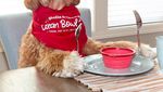 Yuk Kenalan Sama Reagan, Anjing yang Hobi Makan Bareng Tuannya!