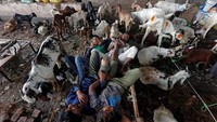 Penjual hewan kurban di Kolkata India beristirahat sambil menjaga hewan dagangannya. Reuters.