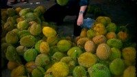 Mampir ke Medan memang nggak lengkap kalau ngga cicip durian. Pilih durian di pinggir jalan pun tak masalah bagi Erik. Foto: Instagram emjkt