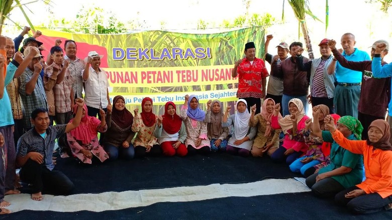 Petani Tebu di Kediri Deklarasi Himpunan Petani Tebu Nusantara Petani Tebu di Kediri Deklarasi Himpunan Petani Tebu Nusantara
