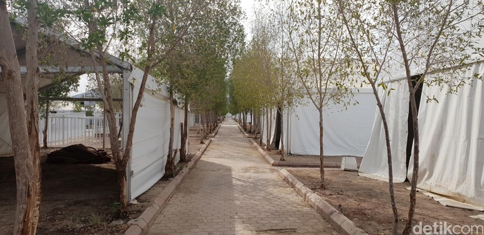 Pohon Sukarno di Arafah