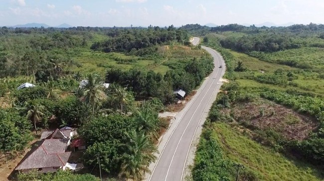 Fakta Tol Pertama Borneo, Cikal Bakal Trans Kalimantan
