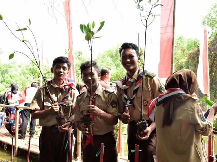 Peringati HUT RI ke-73, Generasi Muda Tanam 800 Mangrove di PIK