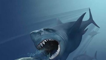 Megalodon adalah hiu prasejarah yang hidup antara 15 hingga 2,6 juta tahun yang lalu. Foto: Wikipedia