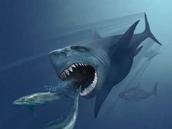 Fakta Unik Megalodon, Hiu Monster di Film The Meg