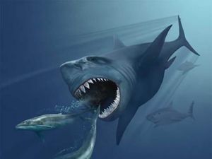 Hiu Monster Megalodon Lebih Raksasa dari Perkiraan