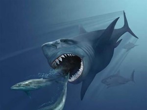 Benarkah Megalodon Masih Hidup sampai Sekarang? Ini Kata Ilmuwan
