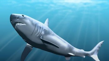 Bobotnya bisa mencapai 47 ton. Foto: Wikipedia