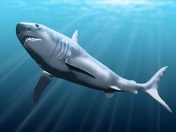 Fakta Unik Megalodon, Hiu Monster di Film The Meg