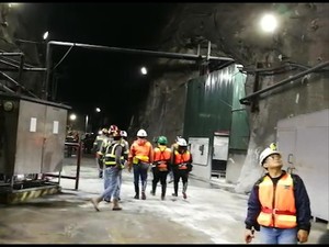 Ini 3 Fakta Tudingan Kerugian Lingkungan Rp 185 T di Freeport