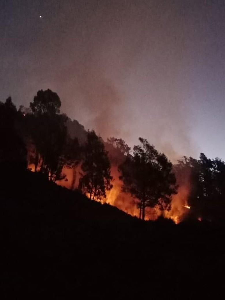 Hutan di Gunung Panderman Terbakar, 100 Pendaki Dievakuasi Hutan di Gunung Panderman Terbakar, 100 Pendaki Dievakuasi