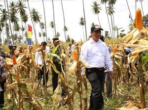 Mentan: Anggaran 2019 Dirancang untuk Kepentingan Petani