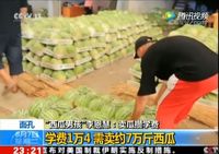 Inspiratif! Remaja Ini Berjuang Jual 35.000 Kg Semangka Demi Biaya Kuliah