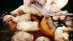 Makan di Warteg hingga Panen Singkong Raksasa, Ini Gaya Nyeleneh Agung Hercules