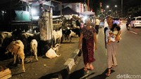 Hewan-heawn qurban itu pun menimbulkan aroma tak sedap yang mengganggu para pengguna jalan yang lewat.