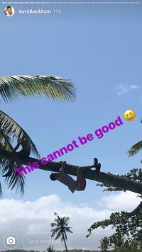 (davidbeckham/Instagram)