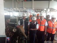 Pemprov DKI Kerja Sama dengan ACT, Bagikan Kurban ke 191 RW