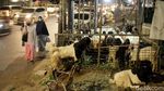 Saat Trotoar Menjadi Lapak Pedagang Hewan Qurban Jelang Idul Adha
