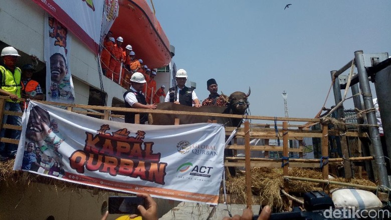 Pemprov DKI Kerja Sama dengan ACT, Bagikan Kurban ke 191 RW Pemprov DKI Kerja Sama dengan ACT, Bagikan Kurban ke 191 RW