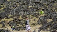 Rencananya revitalisasi akan dimulai tahun depan (Brigida Emi Lilia/d'Traveler)
