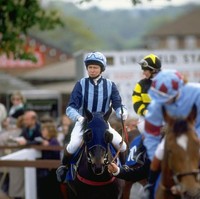 Sejumlah prestasi berhasil dicetak Putri Anne di antaranya BBC Sports Personality of the Year (1971) dan tiga medali European Championship. Ia juga pernah menjabat sebagai Presiden Fédération Equestre Internationale (FEI). (Foto: Getty Images)