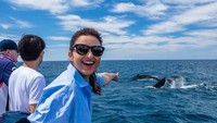 Wanita kelahiran 1988 ini bahkan ditunjuk sebagai duta dalam panel Friends of Australia (FOA) oleh Tourism Australia (parineetichopra/Instagram)