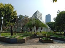 Ini Hasil Jepretan Oppo F9