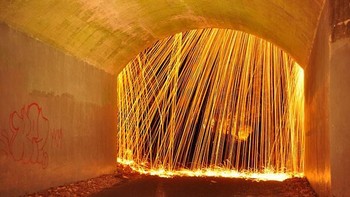 Kobaran api. Foto: bored panda