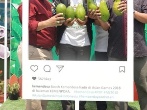Alpukat Daerah Tertinggal Jadi Suguhan Atlet Asian Games 2018