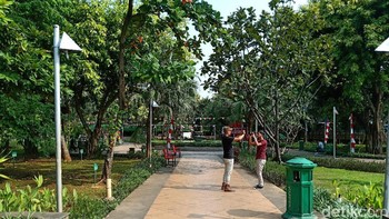 Sebelum mode Vivid diaktifkan. Foto: Adi Fida Rahman/detikINET