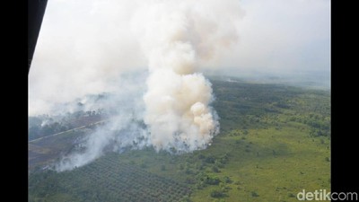 Begini Ngerinya Kebakaran Hutan di Kubu Raya Kalbar